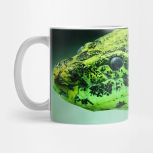 Schlange Anakonda / Swiss Artwork Photography Mug